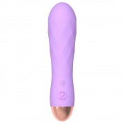 Cuties Silk Touch Rechargeable Mini Vibrator Purple