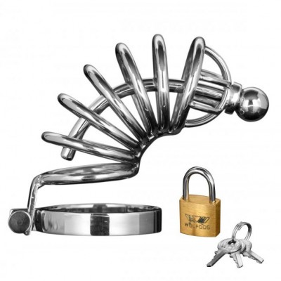 Asylum 6 Ring Stainless Steel Locking Chastity Cage